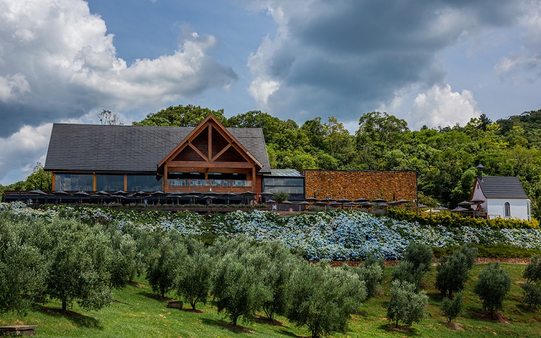 Olivas de Gramado presente da 2ª Olifeira, em Guaíba