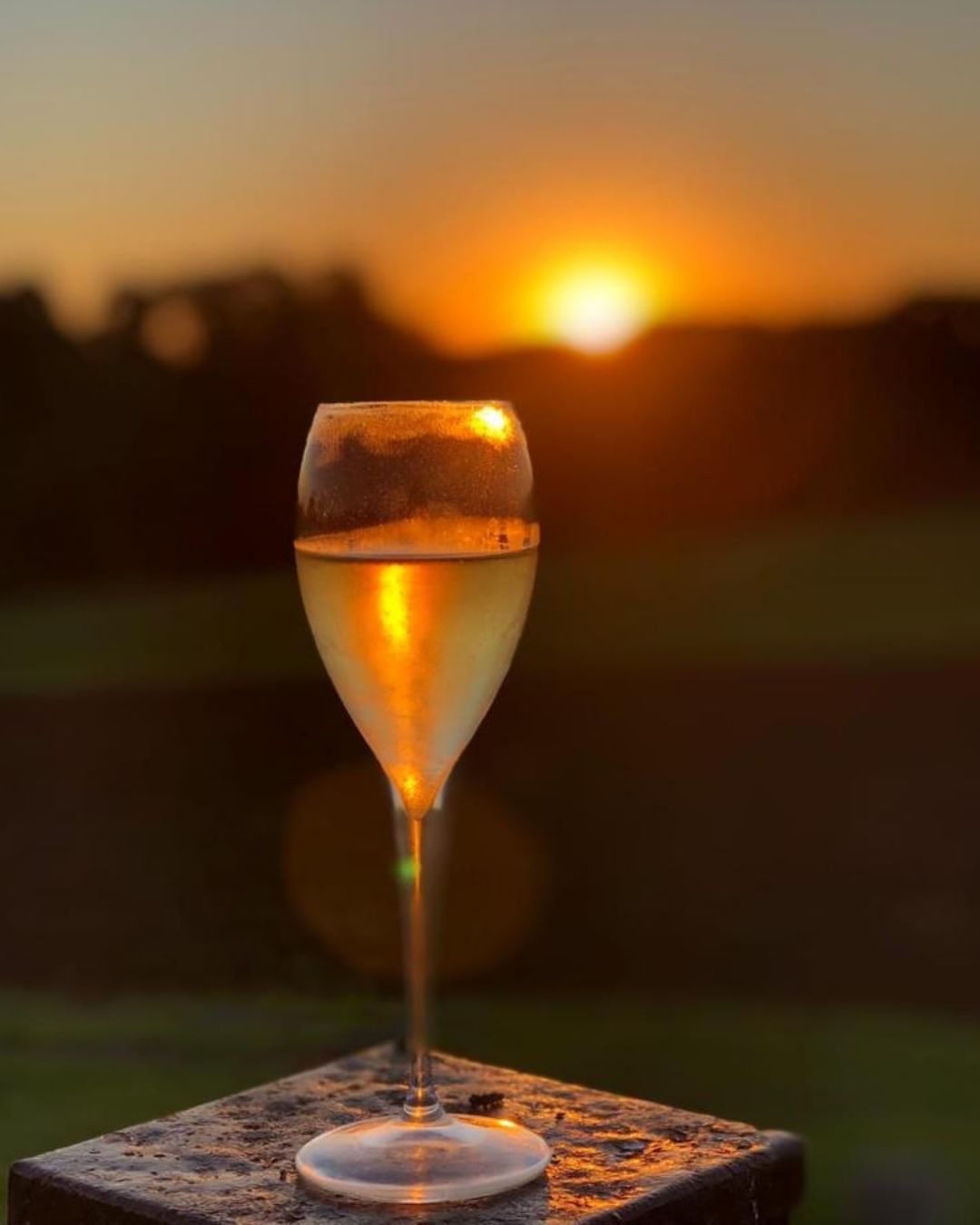 Réveillon 2025 e feriadão de 15 de novembro na vinícola Don Giovanni